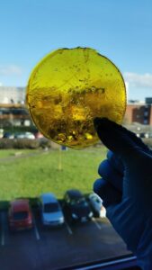 IMG-20250129-WA0000(1)